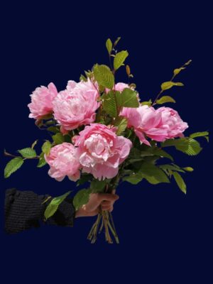 Le bouquet de pivoines